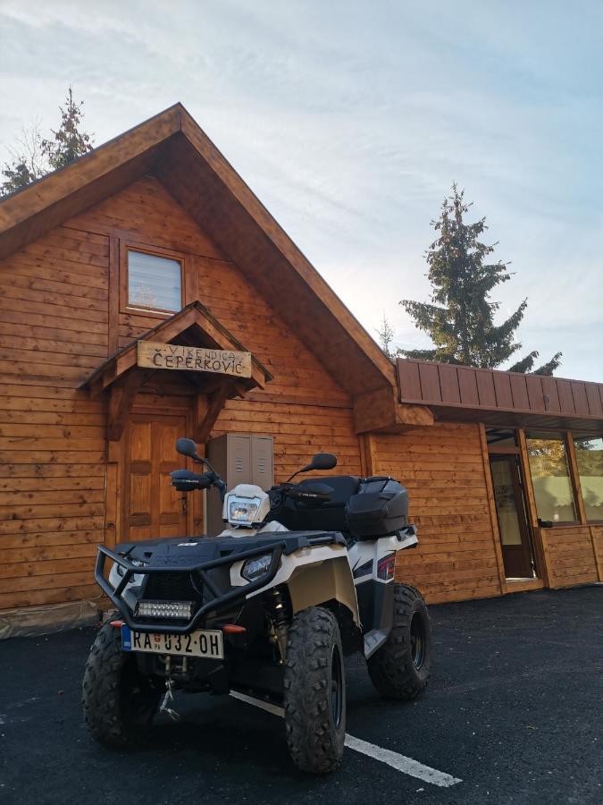 Willa Vikendica Ceperkovic #3 Kopaonik Zewnętrze zdjęcie
