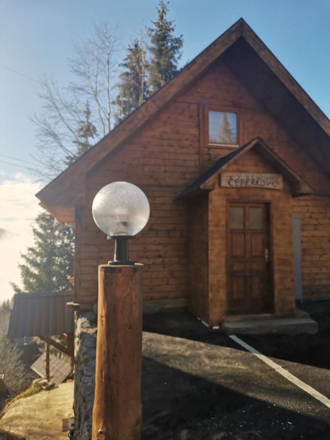 Willa Vikendica Ceperkovic #3 Kopaonik Zewnętrze zdjęcie