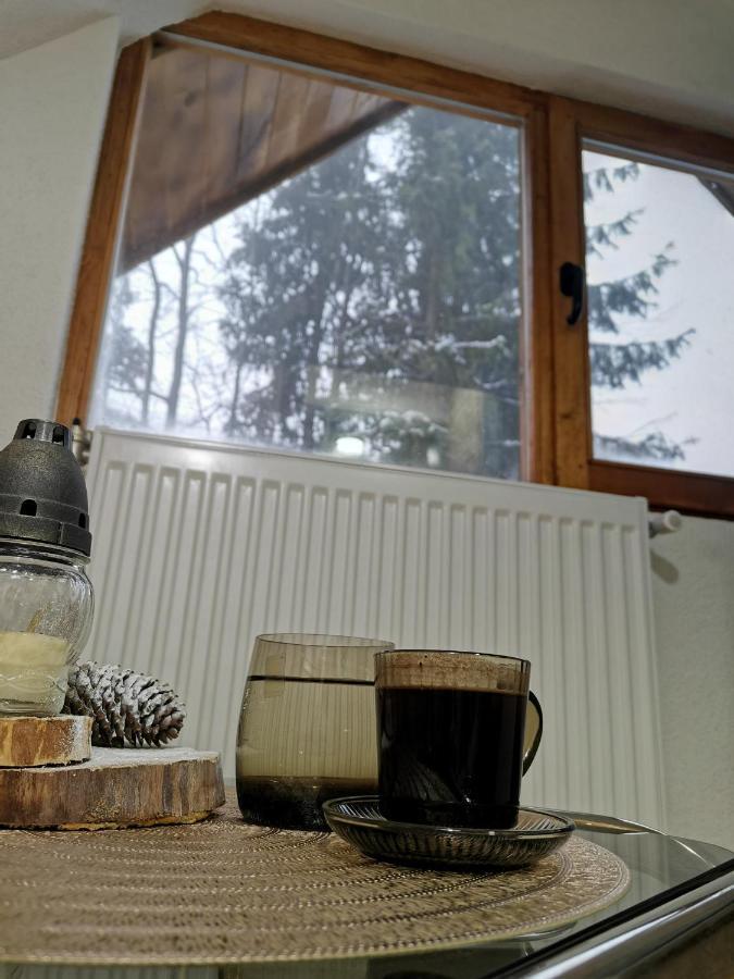 Willa Vikendica Ceperkovic #3 Kopaonik Zewnętrze zdjęcie