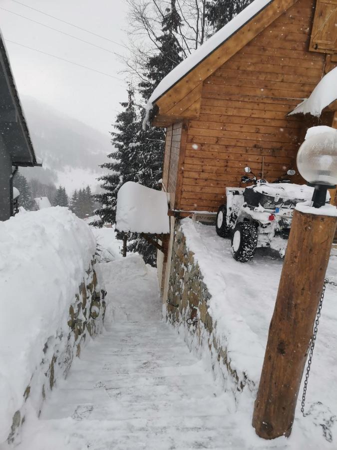 Willa Vikendica Ceperkovic #3 Kopaonik Zewnętrze zdjęcie