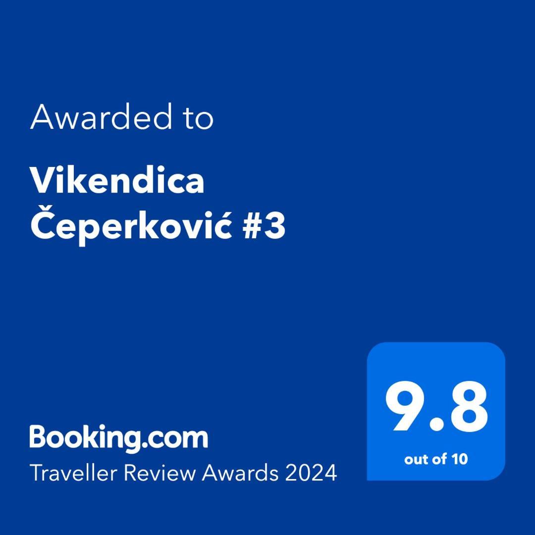 Willa Vikendica Ceperkovic #3 Kopaonik Zewnętrze zdjęcie